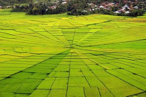 Sawah-Lingko-Labuan-Bajo-sumber-ig-funadventure_